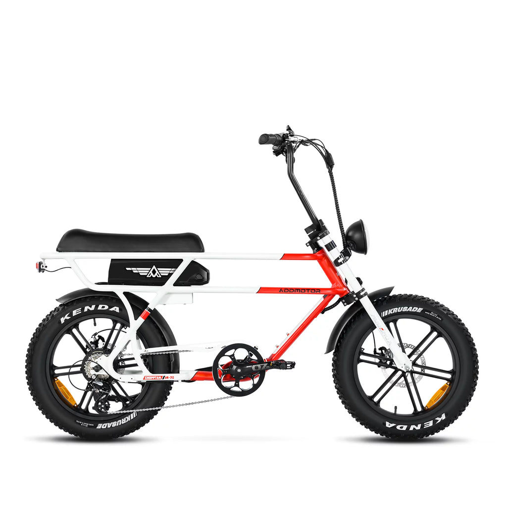 750W 20" Fat Tire Electric Bike N737